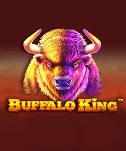 buffalo king demo